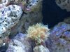 100_0971.jpg