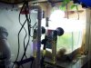 sump wok2.jpg