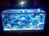 IMG_20110112_205329.jpg
