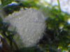 IMGP0788.jpg