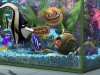 Finding-Nemo-finding-nemo-241335_1024_768.jpg