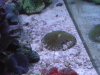 DSCN2361.jpg