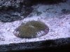 DSCN2362.jpg