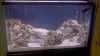 Rock additions jan 17 2011.jpg