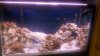 Tank CUC  jan 19.jpg