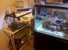 IMG_20110112_163724.jpg