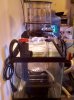 IMG_20110112_163948.jpg