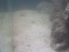 100_0424.jpg