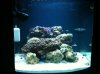Phone Pictures 063.jpg