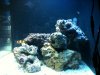 Phone Pictures 064.jpg