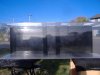 clean tank 1-22-11.JPG