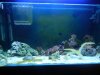 The Whole Tank.jpg