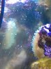 IMG_20110123_111356.jpg