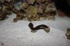 worm25.jpg