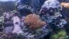 2011-01-25_00-45-04_244.jpg
