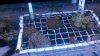 2011-01-25_00-45-21_204.jpg