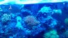 2011-01-25_00-45-33_954.jpg