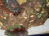 DSCN0580.jpg