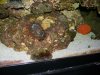 DSCN0578.jpg
