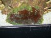 DSCN0576.jpg