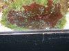 DSCN0575.jpg
