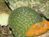 DSCN0565.jpg