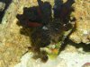 DSCN0563.jpg