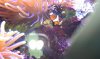 uploadfromtaptalk1296190273934.jpg