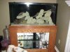 IMG_1759.jpg