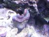 DSC00558.jpg