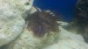 2011-01-31_12-37-25_750.jpg