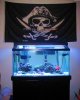 full tank shot.jpg