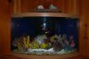Winter2010-11_2218.JPG