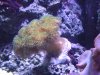 DSCN2474.jpg