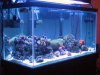 reef2 002.JPG