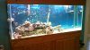 100_0008.jpg