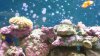 100_0015.jpg