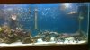 100_0040.jpg