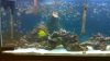 100_0039.jpg