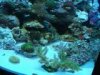 th_DSCF0718.jpg