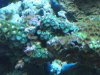 DSCF0721.jpg