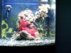 100_2437.jpg