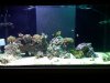 FTS120MH175W.jpg