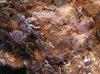 Unknown 10.jpg