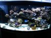 14032_1.jpg