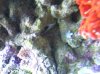 IMG_1269.jpg