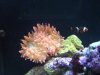 IMG_1274.jpg