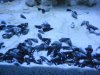 IMG_1800.jpg