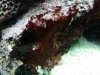 IMG_20110211_224710.jpg