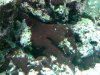 IMG_20110211_224624.jpg